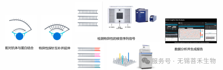 微信图片_2026-09-15_094558_679.png
