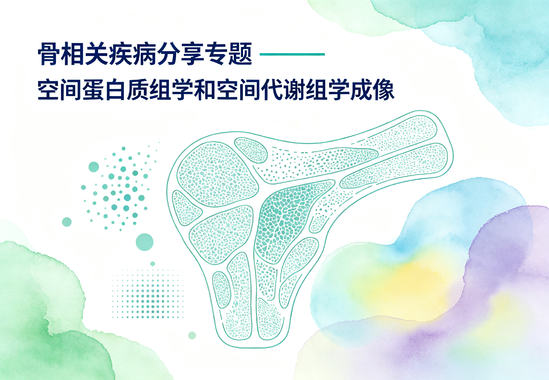 骨相关疾病分享专题——空间蛋白质组学和空间代谢组学成像