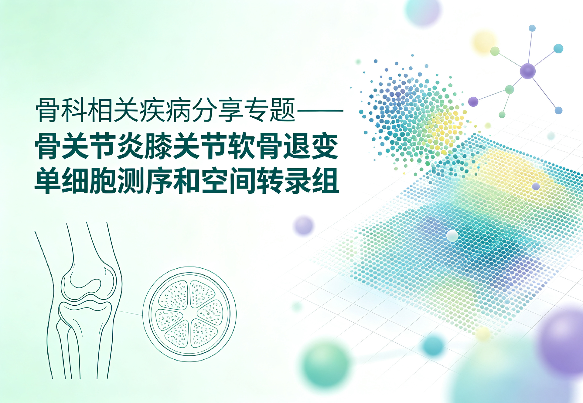 骨科相关疾病分享专题——骨关节炎膝关节软骨退变单细胞测序和空间转录组
